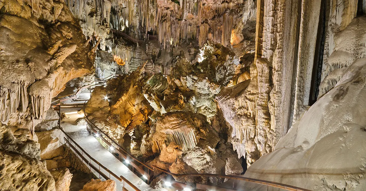 blog image program 003