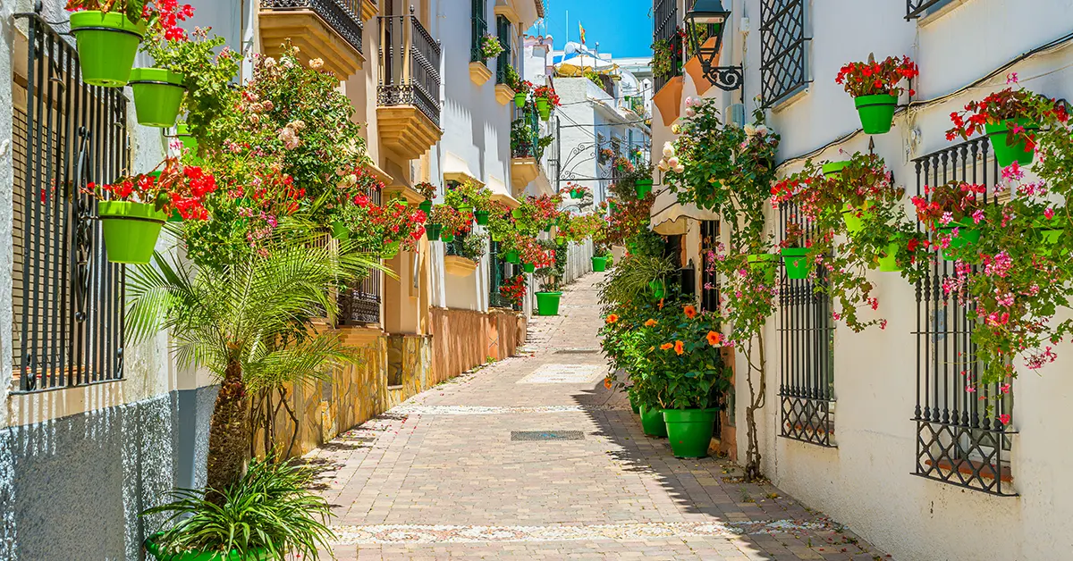 blog image program 004