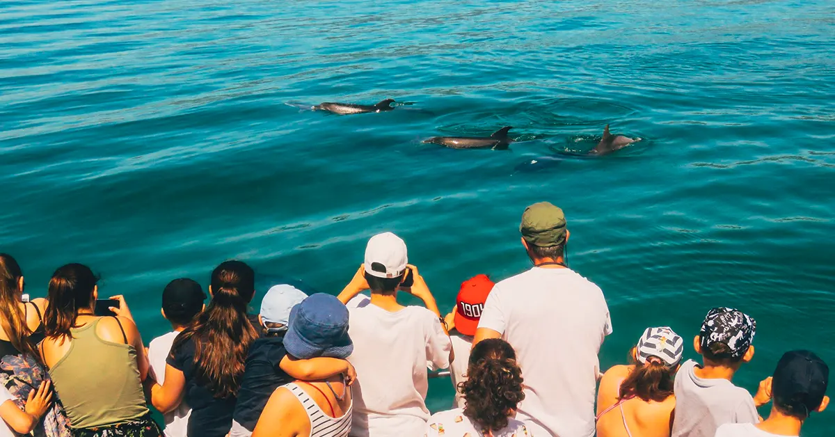 blog image program 005