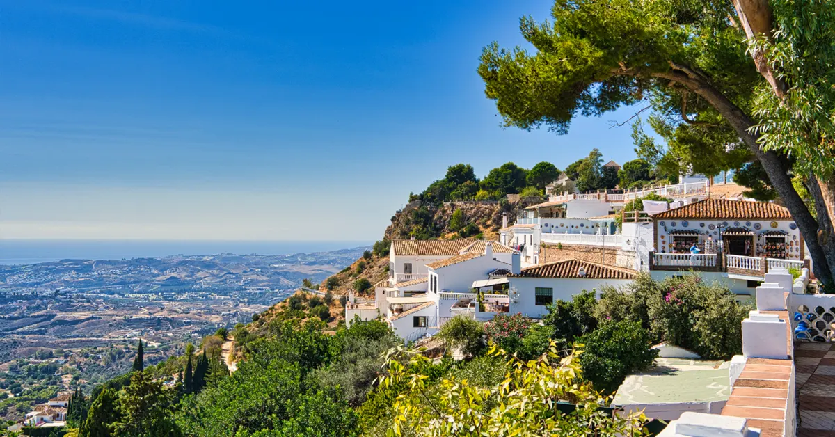 blog image program 009