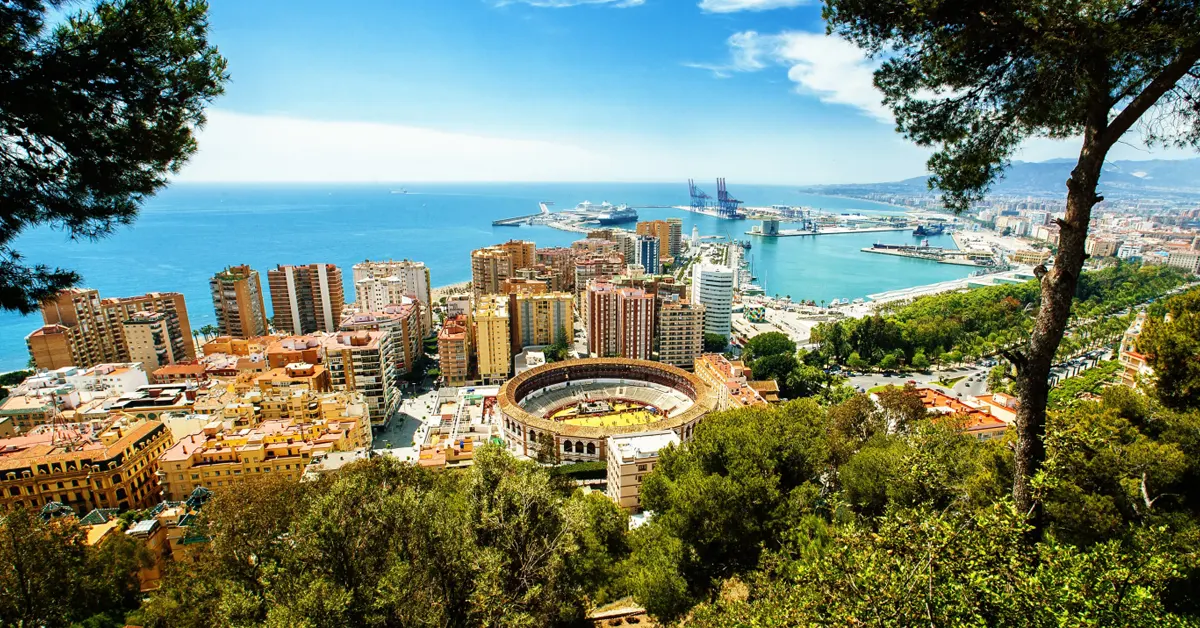 blog image program 012